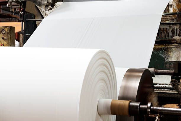 Pulp being processed into large rolls of paperboard in a factory.